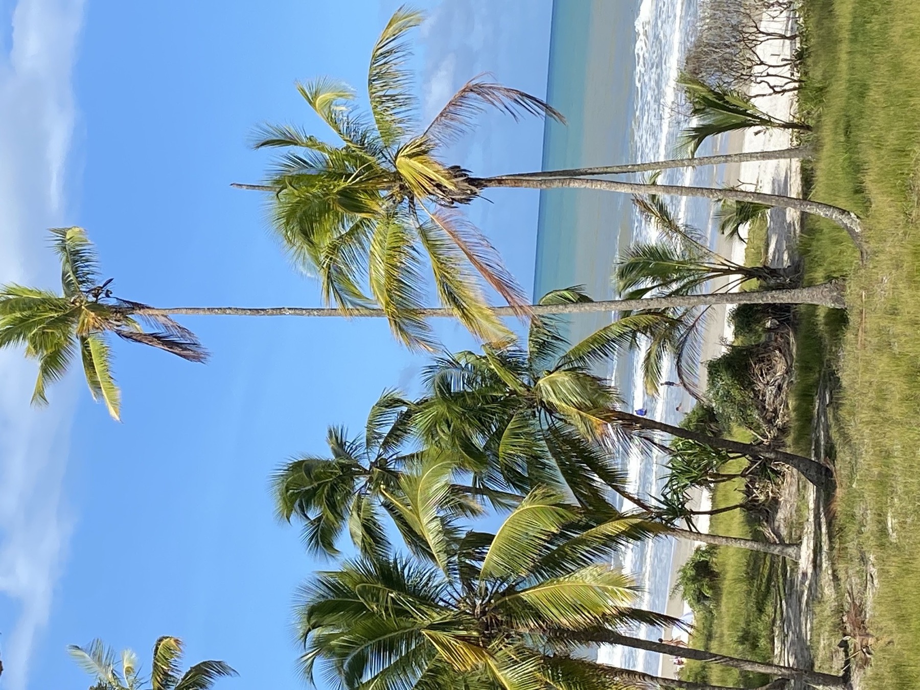 Paisagem litorânea que inspirou a paleta de cores do AVOCAT